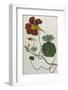 Plants, Tropaeolum Majus-William Curtis-Framed Photographic Print
