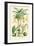 Plants Used as Food. Date, Banana, Jack Fruit, Pandanus-William Rhind-Framed Art Print