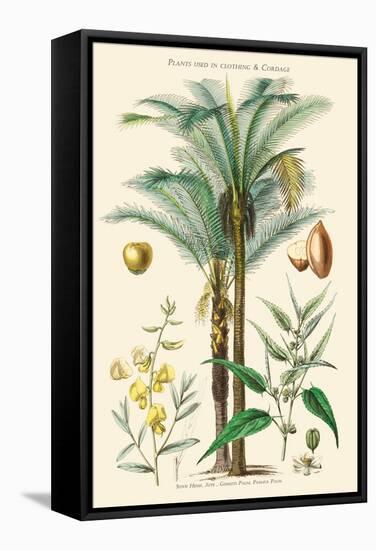 Plants Used in Clothing and Cordage. Gomuti Palm, Piassava Palm, Sunn Hemp, Jute-William Rhind-Framed Stretched Canvas