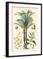 Plants Used in Clothing and Cordage. Gomuti Palm, Piassava Palm, Sunn Hemp, Jute-William Rhind-Framed Art Print