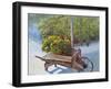 Plants-Rusty Frentner-Framed Giclee Print