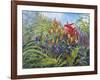 Plants-Rusty Frentner-Framed Giclee Print