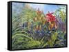 Plants-Rusty Frentner-Framed Stretched Canvas