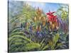 Plants-Rusty Frentner-Stretched Canvas
