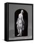 Plaque cintrée demi-cylindrique : Junon-Pierre Penicaud-Framed Stretched Canvas