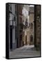 Plasencia, Caceres, Extremadura, Spain, Europe-Michael Snell-Framed Stretched Canvas