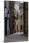 Plasencia, Caceres, Extremadura, Spain, Europe-Michael Snell-Mounted Photographic Print