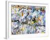 Plastic Bottles for Recycling-Lee Frost-Framed Photographic Print