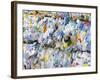 Plastic Bottles for Recycling-Lee Frost-Framed Photographic Print