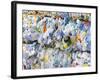 Plastic Bottles for Recycling-Lee Frost-Framed Photographic Print