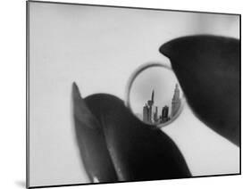 Plastic Lens Which Replaces the Cornea-null-Mounted Photographic Print