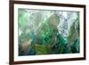 Plastic Trash-Richard T. Nowitz-Framed Photographic Print