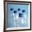 Plastic Water Bottles-Cristina-Framed Photographic Print