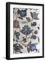 Plat à décor floral pastel-null-Framed Giclee Print