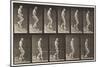 Plate 126. Descending Stairs, 1872-85 (Collotype on Paper)-Eadweard Muybridge-Mounted Giclee Print