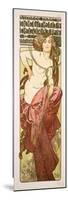 Plate 13 from 'Documents Decoratifs', 1902-Alphonse Mucha-Mounted Premium Giclee Print