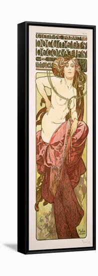 Plate 13 from 'Documents Decoratifs', 1902-Alphonse Mucha-Framed Stretched Canvas