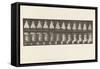Plate 134.Descending Stairs, with Basin in Hands, 1885 (Collotype on Paper)-Eadweard Muybridge-Framed Stretched Canvas