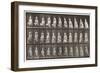 Plate 139. Descending Stairs Turning, 1885 (Collotype on Paper)-Eadweard Muybridge-Framed Giclee Print