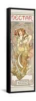 Plate 14 from 'Documents Decoratifs', 1902-Alphonse Mucha-Framed Stretched Canvas