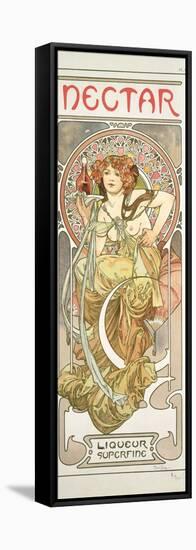 Plate 14 from 'Documents Decoratifs', 1902-Alphonse Mucha-Framed Stretched Canvas