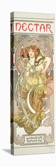 Plate 14 from 'Documents Decoratifs', 1902-Alphonse Mucha-Stretched Canvas