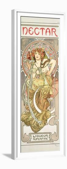 Plate 14 from 'Documents Decoratifs', 1902-Alphonse Mucha-Framed Giclee Print