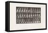 Plate 148. Descending Stairs, Turning Carrying Bucket of Water, 1885 (Collotype on Paper)-Eadweard Muybridge-Framed Stretched Canvas