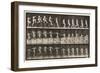 Plate 155. Jumping, Running, Straight High Jump, 1872-85 (Collotype on Paper)-Eadweard Muybridge-Framed Giclee Print