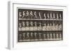 Plate 155. Jumping, Running, Straight High Jump, 1872-85 (Collotype on Paper)-Eadweard Muybridge-Framed Giclee Print