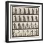 Plate 197. Dancing Waltz, Two Models, 1885 (Collotype on Paper)-Eadweard Muybridge-Framed Giclee Print