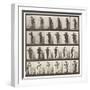 Plate 197. Dancing Waltz, Two Models, 1885 (Collotype on Paper)-Eadweard Muybridge-Framed Giclee Print