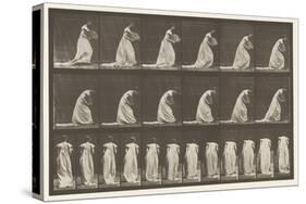 Plate 199. Courtseying, Fan in right Hand, 1885 (Collotype on Paper)-Eadweard Muybridge-Stretched Canvas