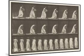 Plate 199. Courtseying, Fan in right Hand, 1885 (Collotype on Paper)-Eadweard Muybridge-Mounted Giclee Print