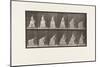 Plate 211.Stooping and Lifting Hand-Kerchief;Parasol in Left Hand, 1885 (Collotype on Paper)-Eadweard Muybridge-Mounted Giclee Print