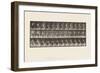 Plate 217.Stooping, Lifting and Carrying 30 Lb Basket, 1885 (Collotype on Paper)-Eadweard Muybridge-Framed Giclee Print