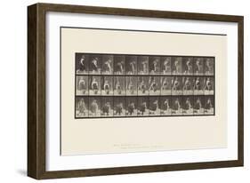 Plate 217.Stooping, Lifting and Carrying 30 Lb Basket, 1885 (Collotype on Paper)-Eadweard Muybridge-Framed Giclee Print