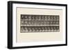 Plate 217.Stooping, Lifting and Carrying 30 Lb Basket, 1885 (Collotype on Paper)-Eadweard Muybridge-Framed Giclee Print