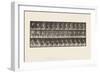 Plate 217.Stooping, Lifting and Carrying 30 Lb Basket, 1885 (Collotype on Paper)-Eadweard Muybridge-Framed Giclee Print