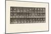 Plate 230.Lifting 30 Lb Basket from Ground to Head, Turning, 1885 (Collotype on Paper)-Eadweard Muybridge-Mounted Giclee Print