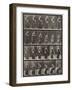 Plate 241. Placing Chair, Sitting and Reading, 1885 (Collotype on Paper)-Eadweard Muybridge-Framed Giclee Print