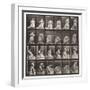 Plate 250. Rising from Chair, Stooping and Lifting Hand-Kerchief, 1885 (Collotype on Paper)-Eadweard Muybridge-Framed Giclee Print