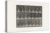 Plate 298.Lawn Tennis, 1885 (Collotype on Paper)-Eadweard Muybridge-Stretched Canvas