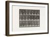 Plate 298.Lawn Tennis, 1885 (Collotype on Paper)-Eadweard Muybridge-Framed Giclee Print