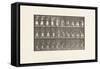 Plate 454. Taking 12-Lb Basket from Head and Placing it on Ground, 1885 (Collotype on Paper)-Eadweard Muybridge-Framed Stretched Canvas