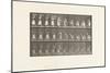 Plate 454. Taking 12-Lb Basket from Head and Placing it on Ground, 1885 (Collotype on Paper)-Eadweard Muybridge-Mounted Giclee Print