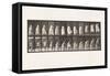 Plate 457.Stepping on Chair, and Reaching Up, 1885 (Collotype on Paper)-Eadweard Muybridge-Framed Stretched Canvas