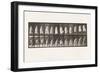 Plate 457.Stepping on Chair, and Reaching Up, 1885 (Collotype on Paper)-Eadweard Muybridge-Framed Giclee Print