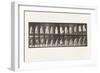 Plate 457.Stepping on Chair, and Reaching Up, 1885 (Collotype on Paper)-Eadweard Muybridge-Framed Giclee Print