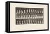 Plate 459. Stepping on Chair, Reaching up and Descending, 1885 (Collotype on Paper)-Eadweard Muybridge-Framed Stretched Canvas